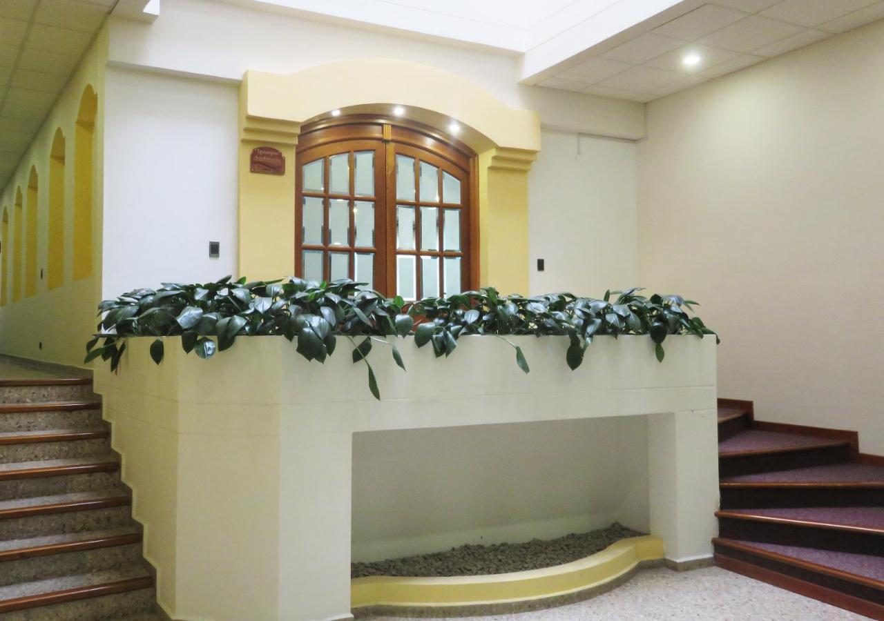 פאיפה Daza Hotel מראה חיצוני תמונה